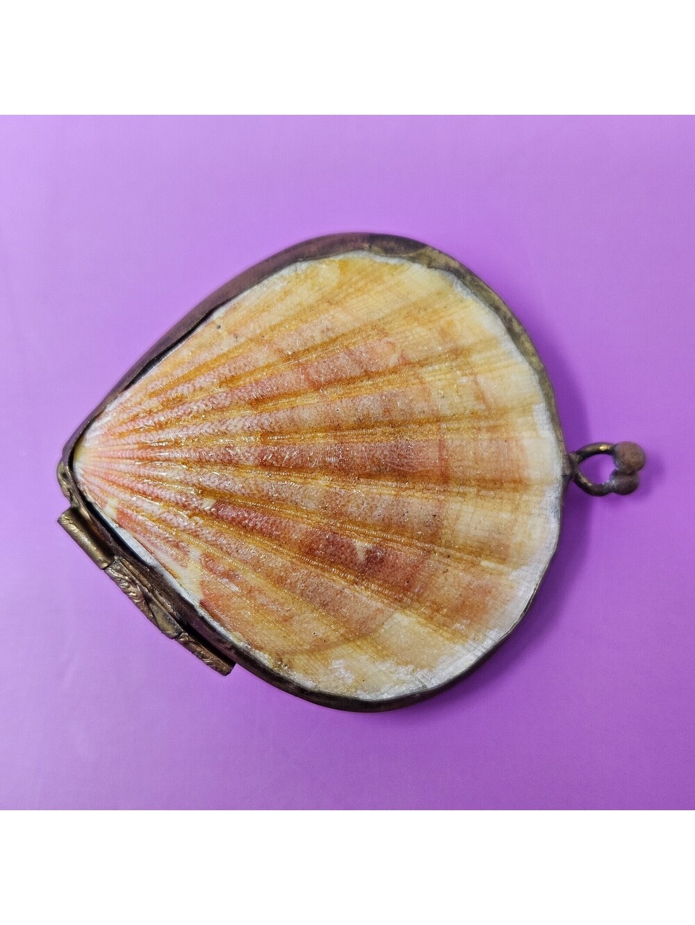 Vintage Mid-century Scallop Shell/Brass Coastal Trinket Box with Kiss Clasp